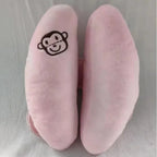 🚗 Passeios de Sonho